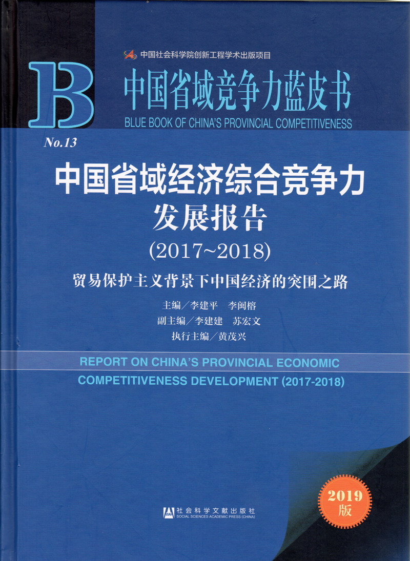 阴道被大鸡巴操在线观看中国省域经济综合竞争力发展报告（2017-2018）